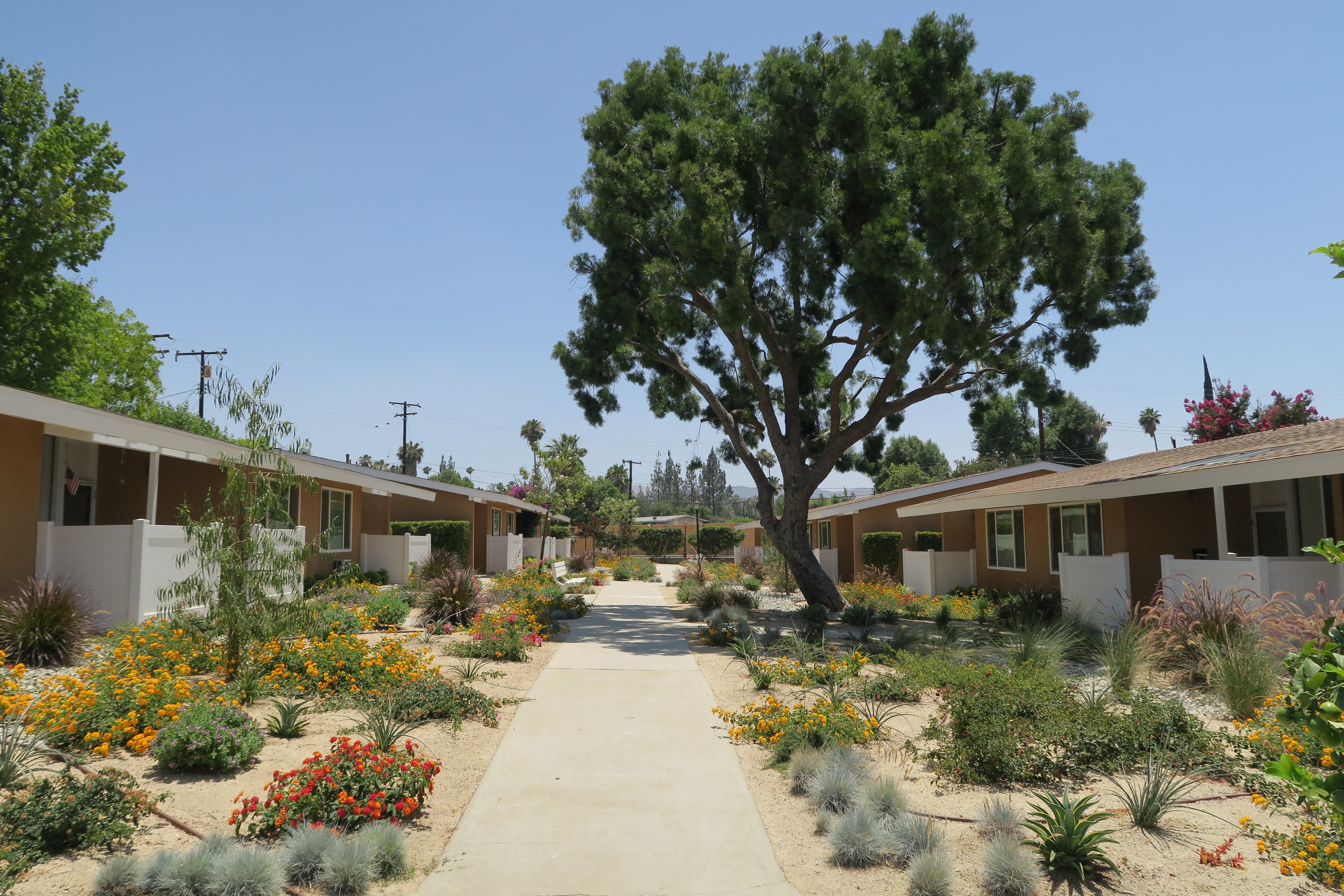 Village Green